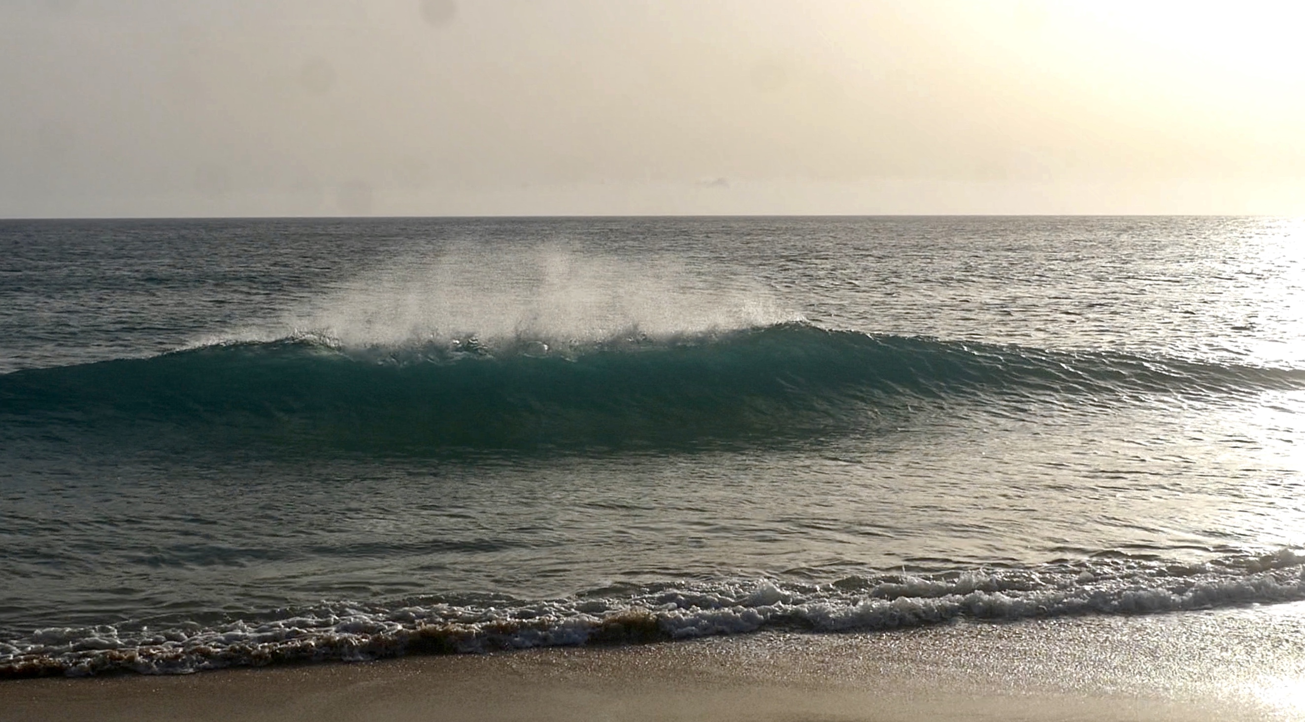5 consejos de Skimboard para principiantes AVANCE Surf Training